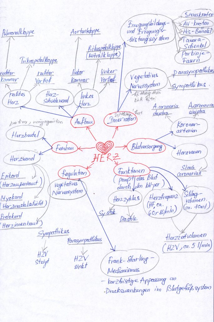 Lerntagebücher: Lernübersicht in Form einer Mindmap