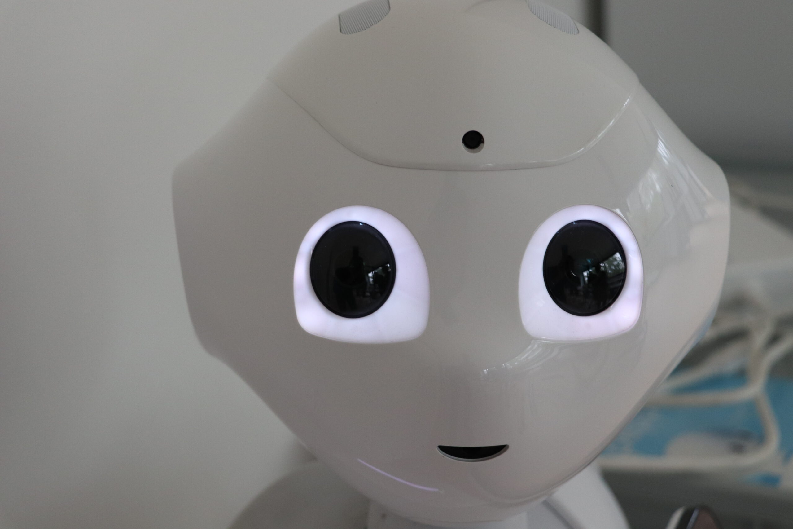 Mitgliederversammlung des EBG e. V. in der Slowakei